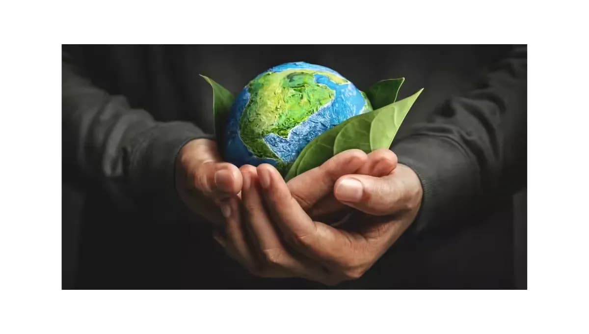 The Imminent Need to Save Our Environment: A Global Imperative