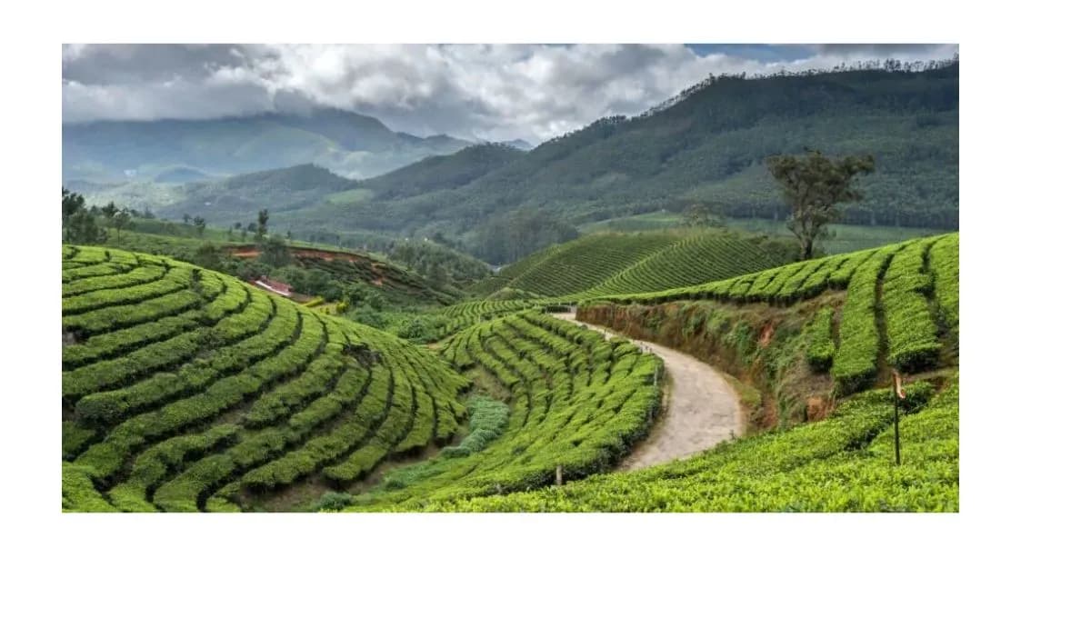 Darjeeling: A Journey Through the "Queen of the Hills"