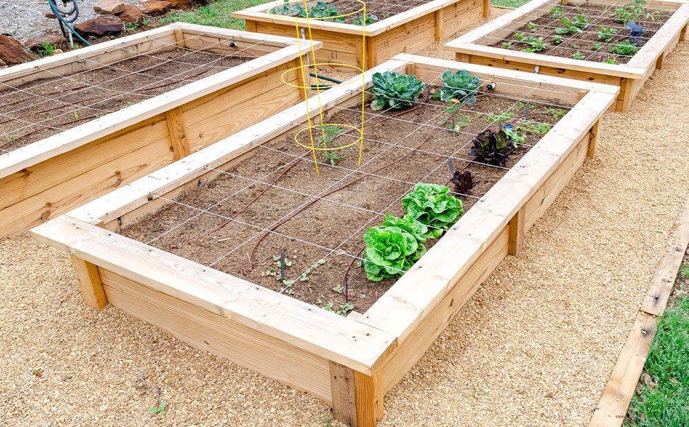 How to make a raised garden bed