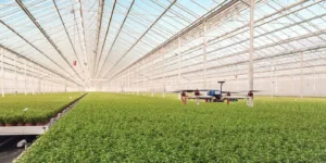 explain how dutch agriculture uses technology to fully control the growing environment of crops.