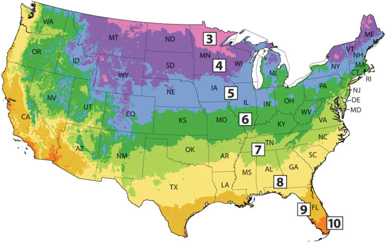 What planting zone is michigan ?