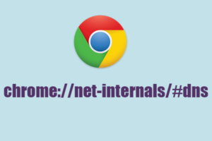 Exploring Chrome's Mobile DNS Settings with chrome://net-internals/#dns