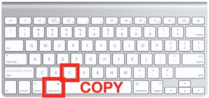 User How to copy and paste on macbook