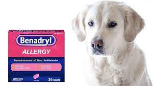 How much benadryl can i give my dog