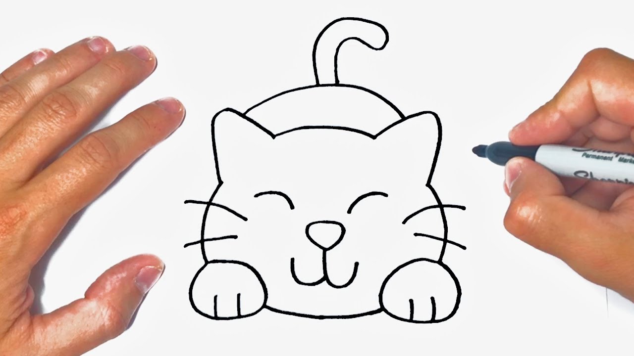 How to draw a cat